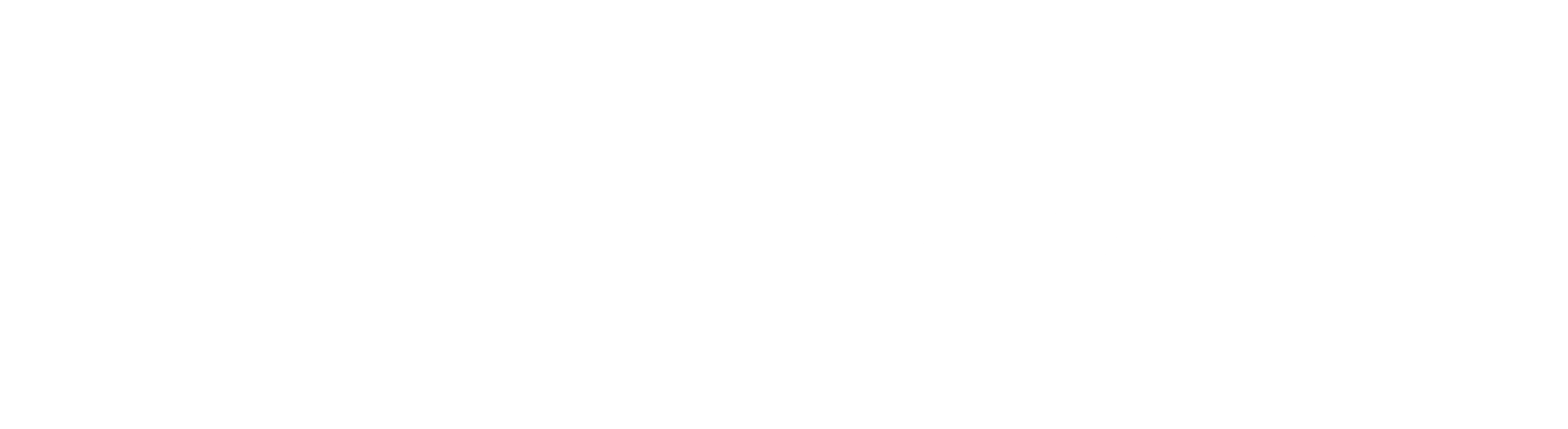 Q10 Consultants